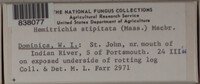 Image Associated With the Occurence